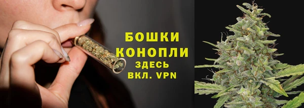 тгк Кукмор