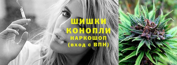 спиды Лагань