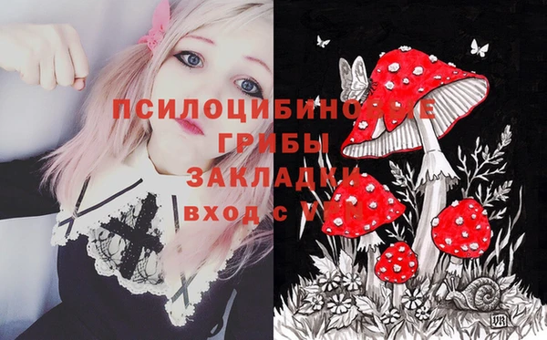 соль ск Кулебаки