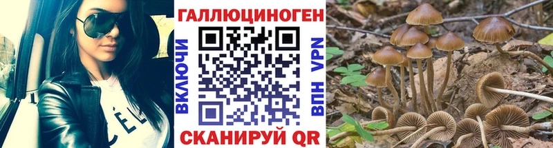 Псилоцибиновые грибы ЛСД  Купить закладки  Урус-Мартан 